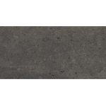Nexus Antracita 60x120