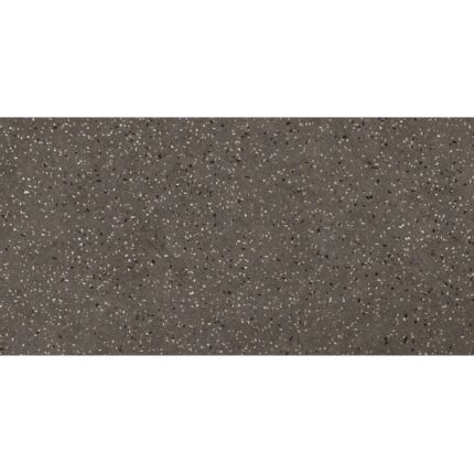 WOODWORK STONE DARK 60 X 120