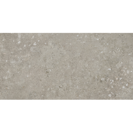 Tribeca Grey 60x120 de Newker