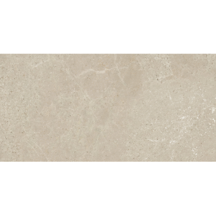 COSMO TAUPE 60X120 NEWKER