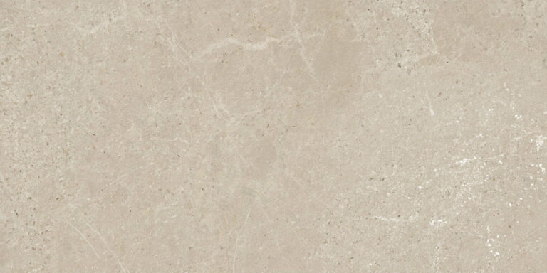 COSMO TAUPE 60X120 NEWKER