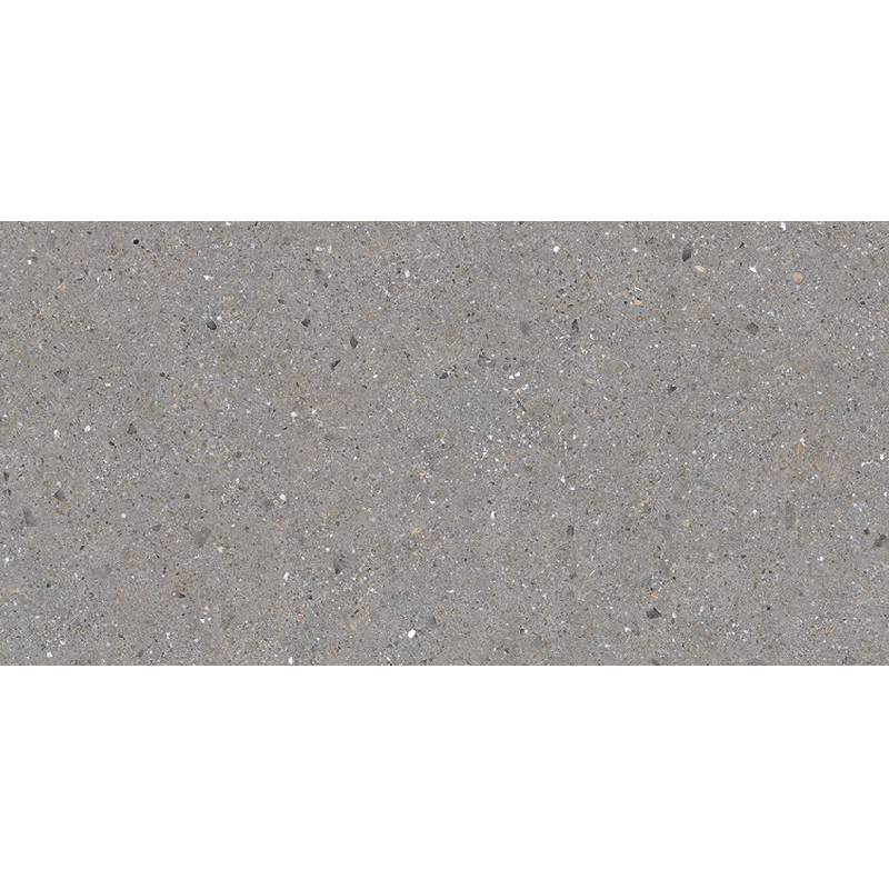 BERGEN GREY 30X60 NEWKER