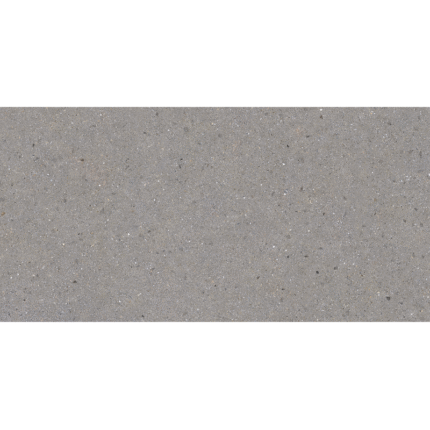 BERGEN GREY 60X120 NEWKER