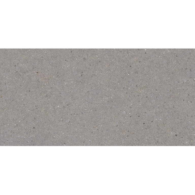 BERGEN GREY 60X120 NEWKER