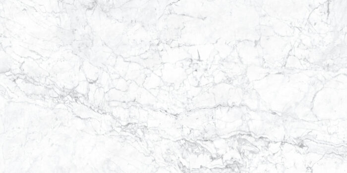 CARRARA MATT GREY 60X120 NEWKER