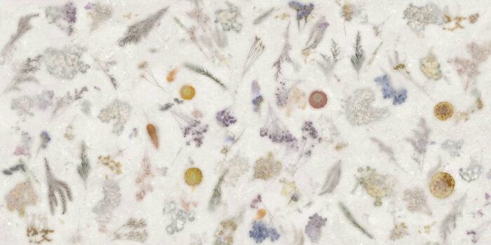 SPACE DECOR NANOTECH WHITE 60X120 NEWKER