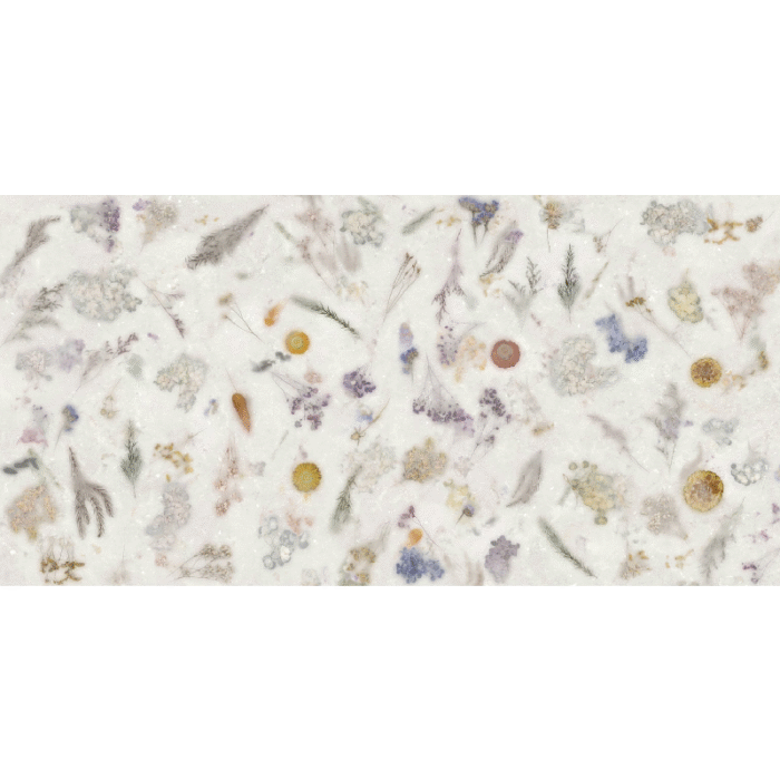 SPACE DECOR NANOTECH WHITE 60X120 NEWKER