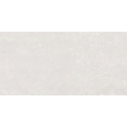 SPACE NANOTECH WHITE 60X120 NEWKER